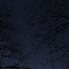2025/01/11_星空_あきる野