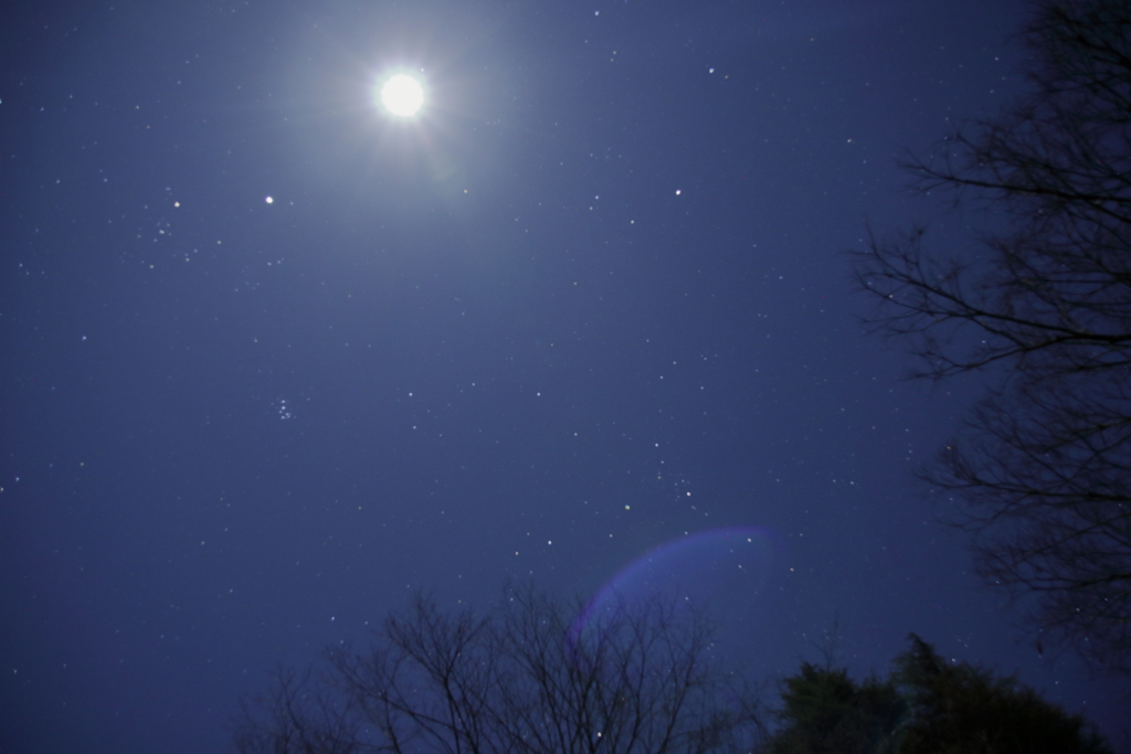 2025/01/11_星空_奥多摩