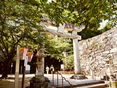 初夏の陽気