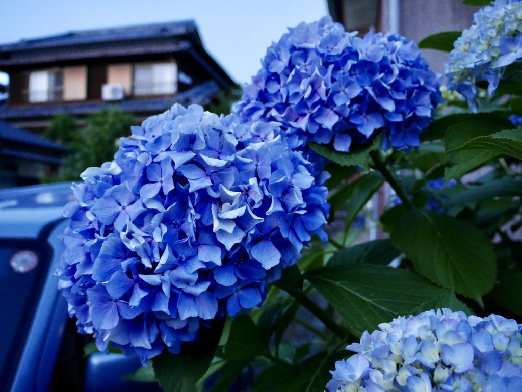 梅雨の訪れ
