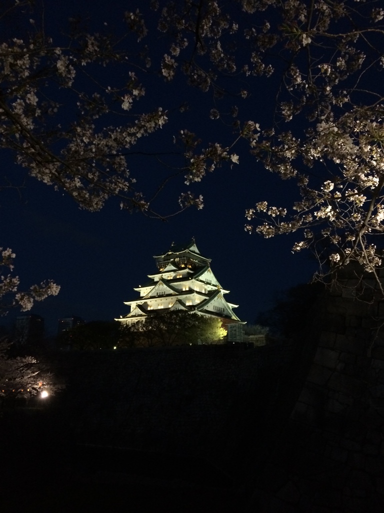 お城と桜