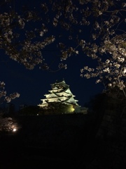 お城と桜