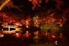 紅葉