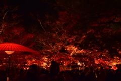 紅葉
