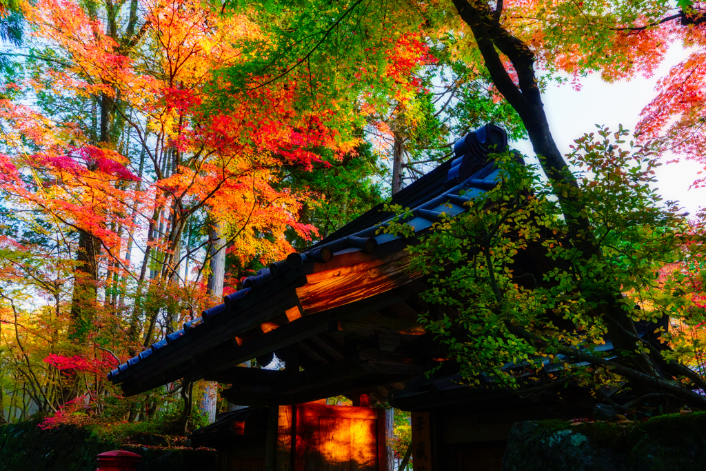 日光華蔵院