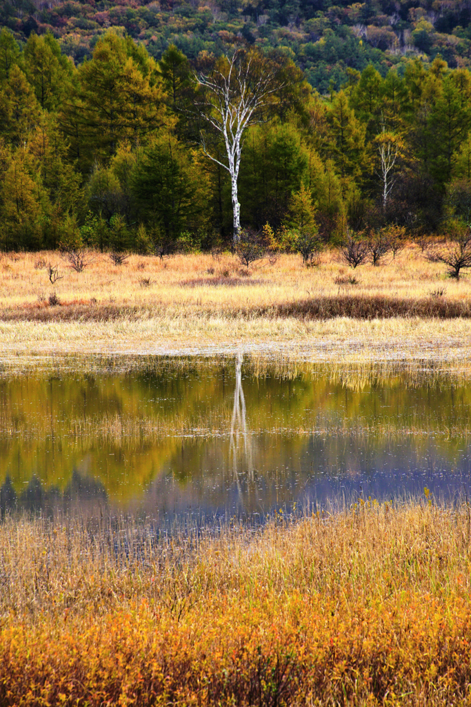 7年ぶりの水鏡