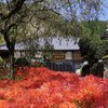 緋色のおもてなし　栃木県鹿沼市