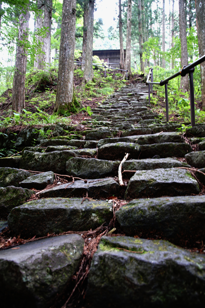 森の神社に続く道