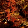 播州清水寺の紅葉