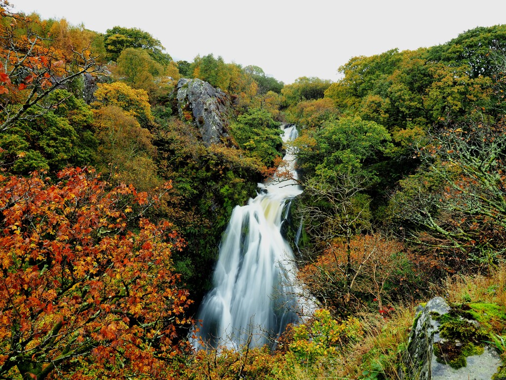 紅葉と滝