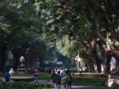 DSC01033