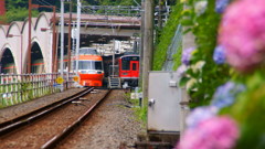 DSC03256k