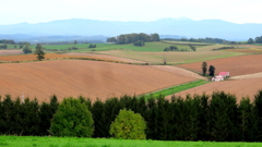 DSC00141r