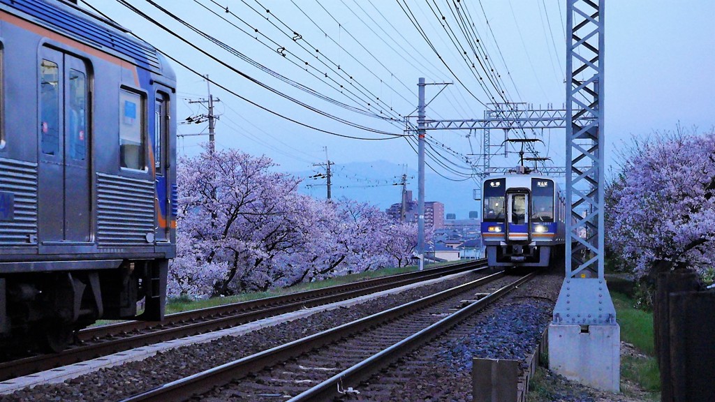 sunset document 南海高野線