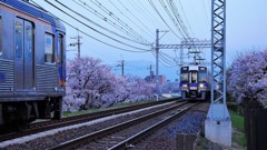 sunset document 南海高野線