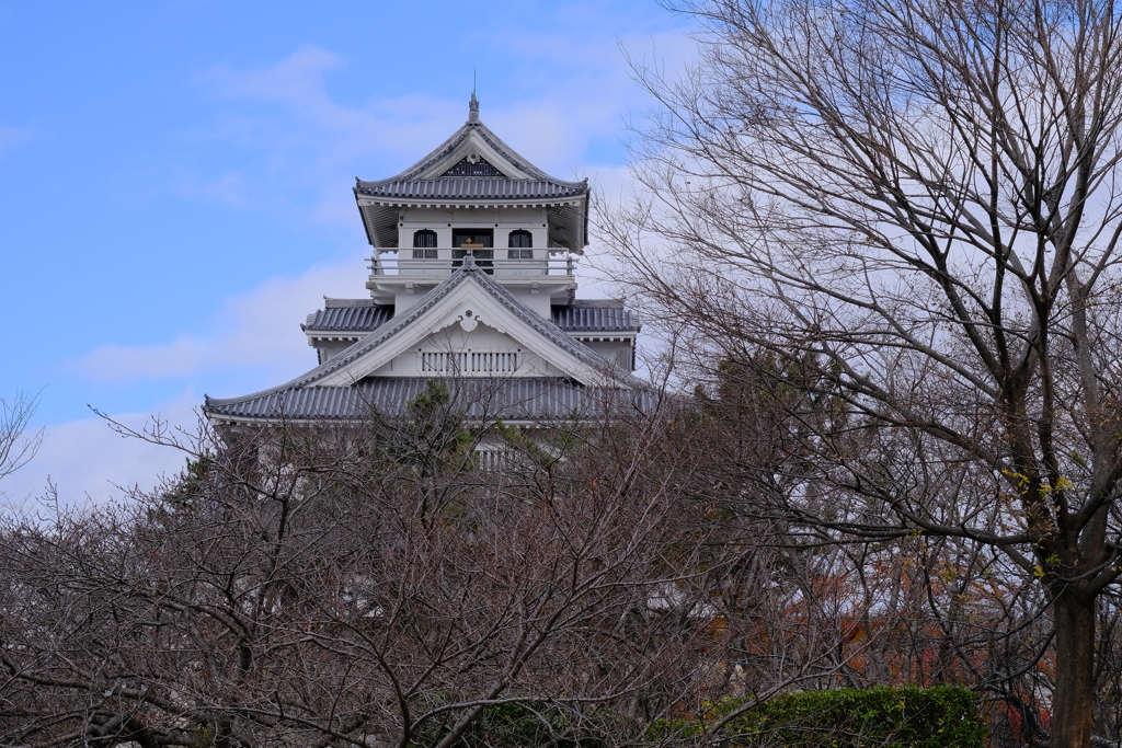 長浜城