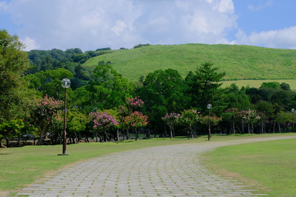 夏の若草山