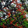 彫刻の森美術館