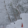 雪の貴船神社