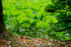 気持ちいい一日