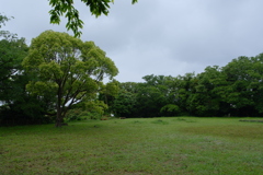 浜田城本丸
