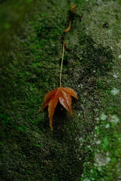 無題1