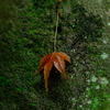 無題1