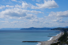 桂浜園地