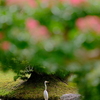 夏の日の白鷺　右