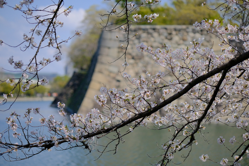 大阪城公園