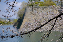 大阪城公園