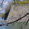 大阪城公園