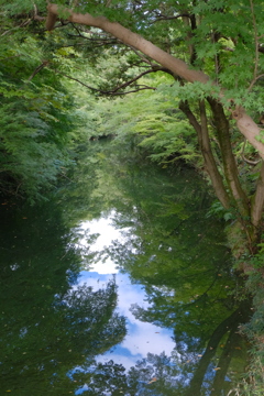 高岡城跡