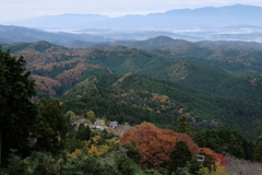 吉野の紅葉