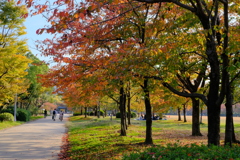 大阪城公園の紅葉