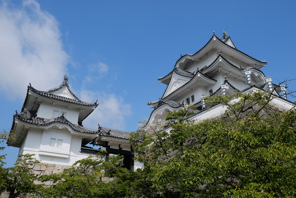 伊賀上野城