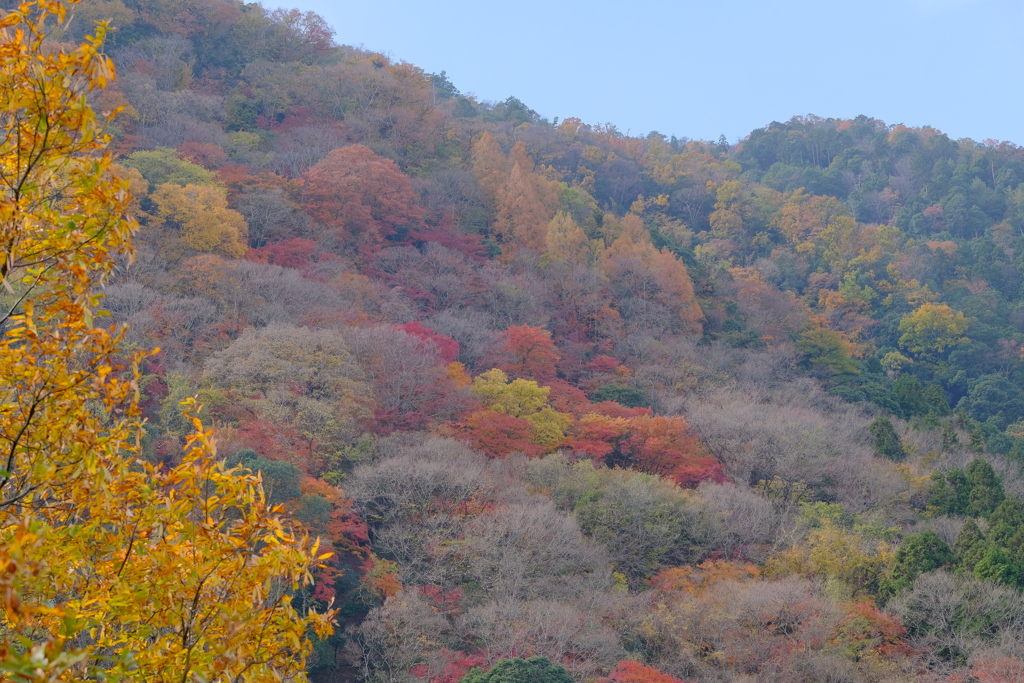 嵐山公園より