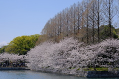 大阪城公園