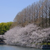 大阪城公園