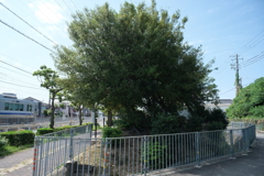 東上野芝町1号墳