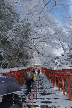 晴れてきた