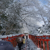 晴れてきた