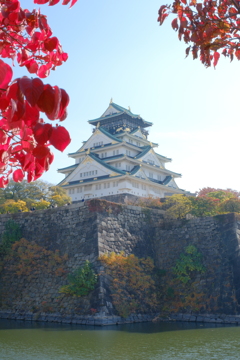 大阪城は赤が似合うか