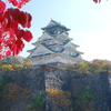 大阪城は赤が似合うか