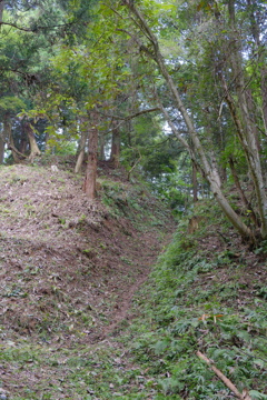 増山城F郭から見た堀切