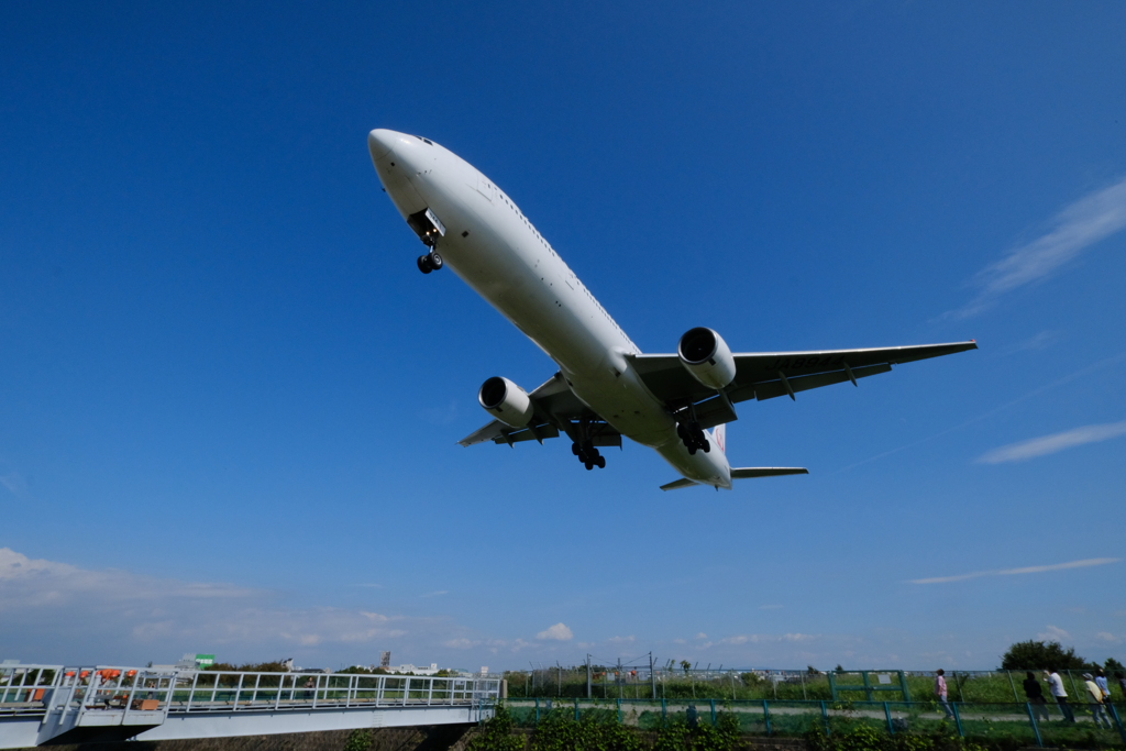 千里川土手の飛行機