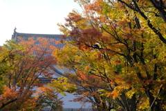 大阪城公園の紅葉