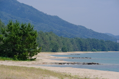 天橋立