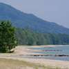 天橋立
