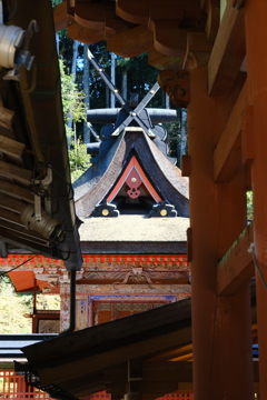 丹生都比売神社